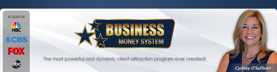 BusinessMoneySystem.com